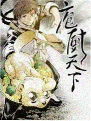 剧集档案《第九座桥》的桥梁与雾气风格封面图